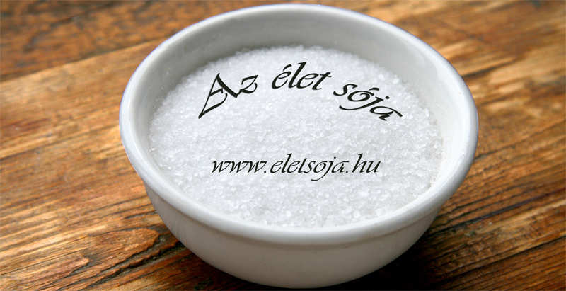 élet sója_ver3_small