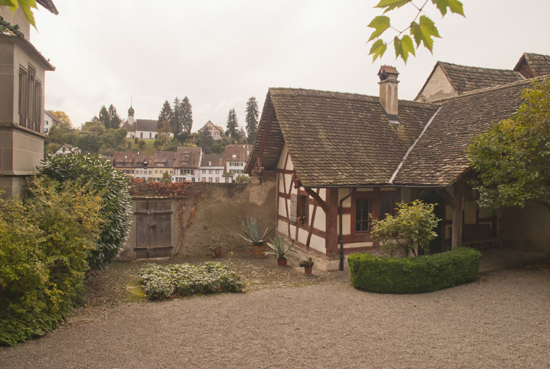 stein_am_rhein7_small