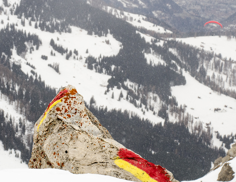 hoesesben_egy_orult_szall_small