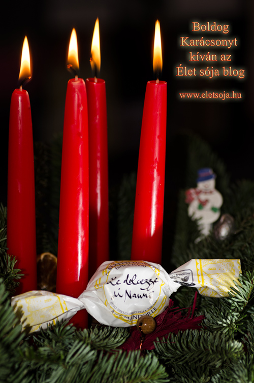 kepeslap_elet_soja_kicsi