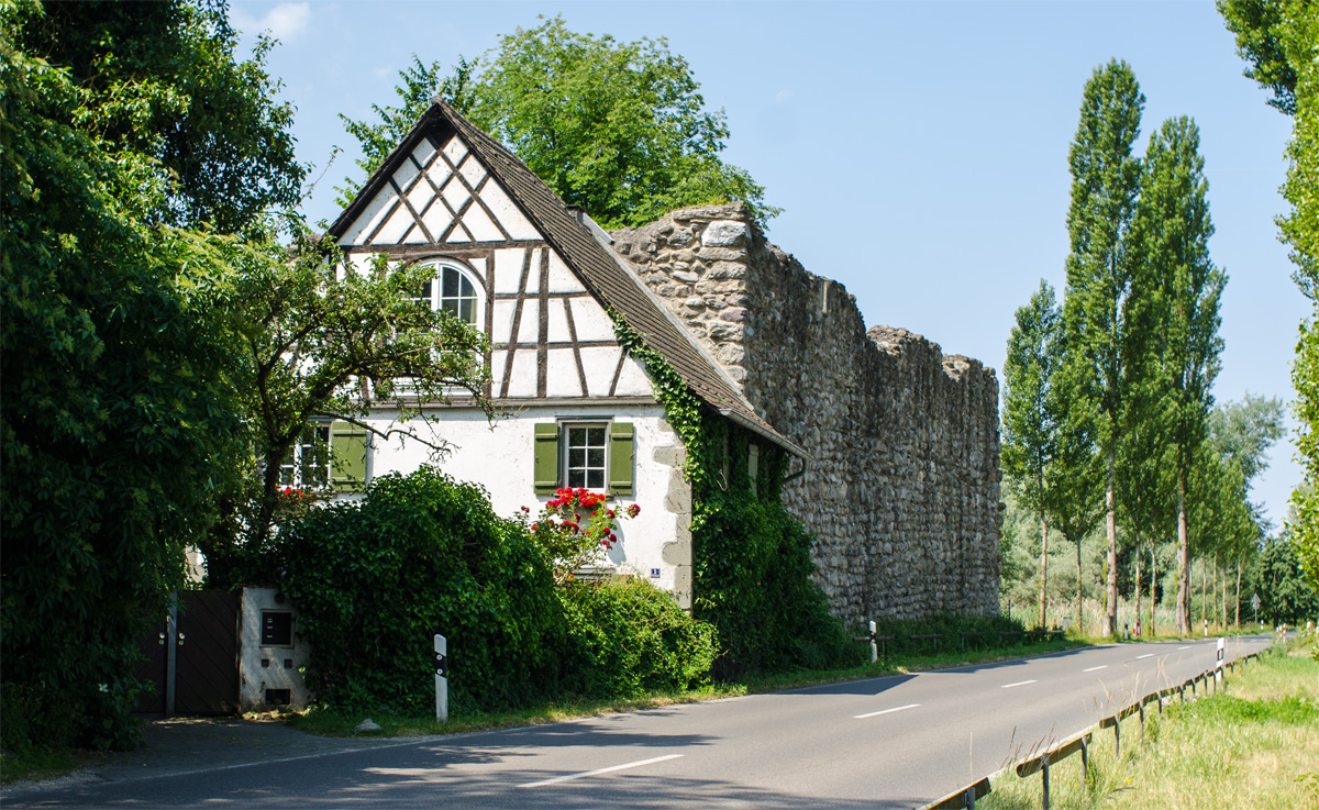 haziko_kofallal_small