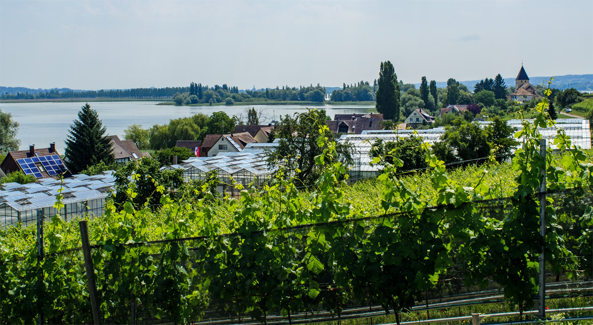 raichenau_lenyege_small