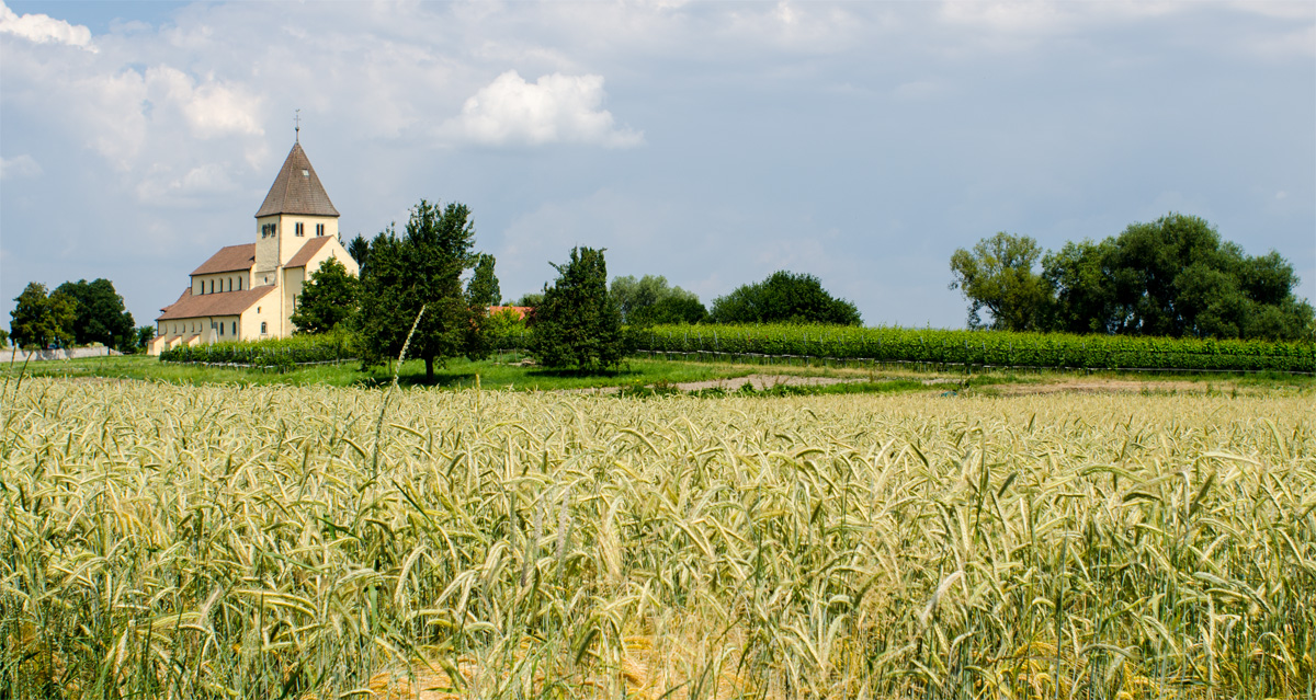 st_georg_buzatabla_small