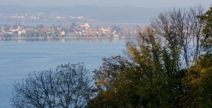 Reichenau_madartavlatbol2