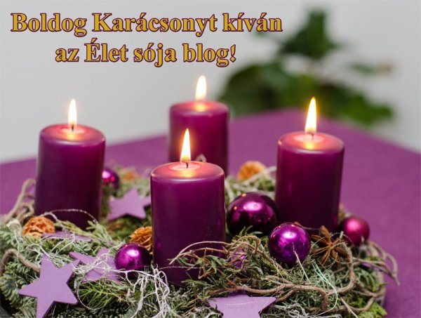 karacsonyi_kepeslap_2014_blogos_lekicsinyitve