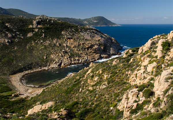 obol_Tundi_blogjara_small