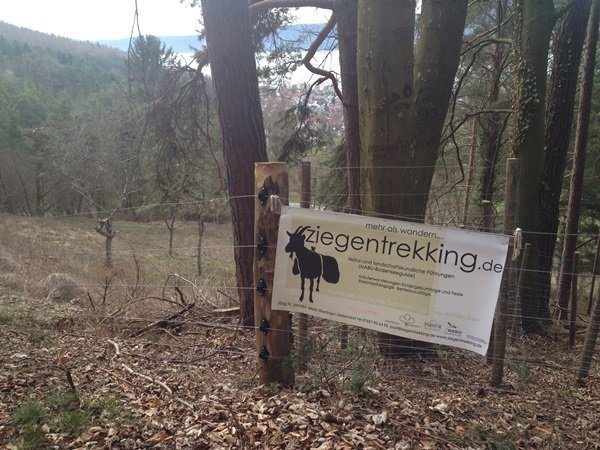 Tünde iphone kecske