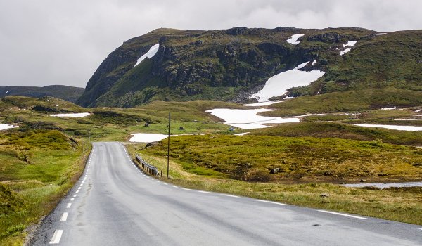 born_to_be_wild_small