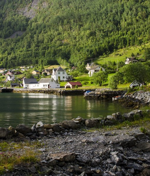 reggeli_napsütes_a_hazunk_mellett_small