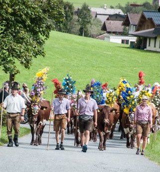 dreamstime_xs_27269371