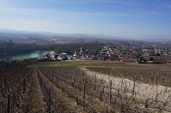 Mareuil_sur_Ay_01537