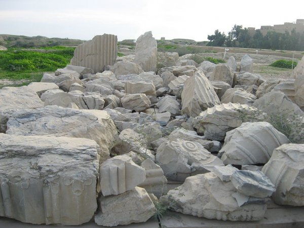 Pices_of_columns,Darius_I_palace