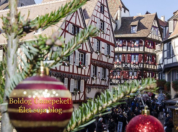 karacsonyi_lap_eletsoja_small