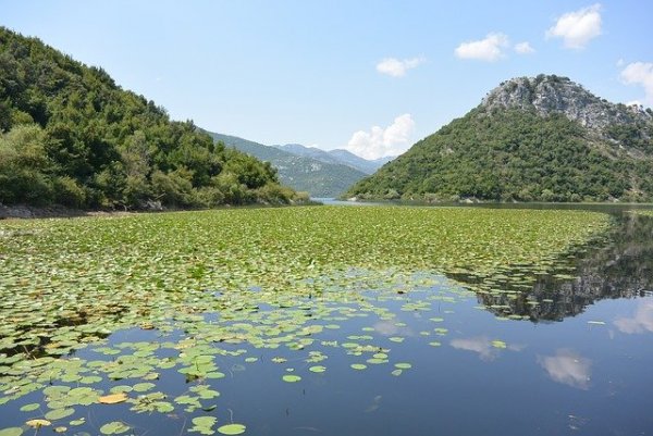 skadar-lake-469973_640