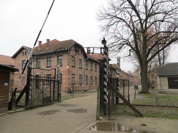 auschwitz-1137809_640