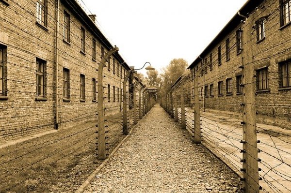 auschwitz-385639_640