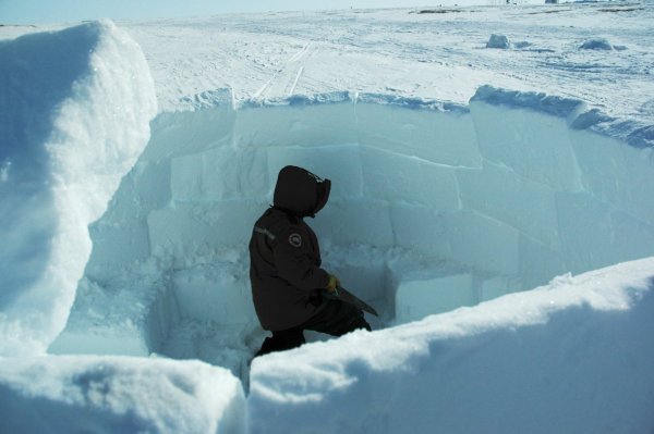 dsc_1936-sammy-makes-igloo-apr17-te-wotn