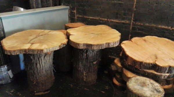 13043487_1539933766301432_813548676763219328_n