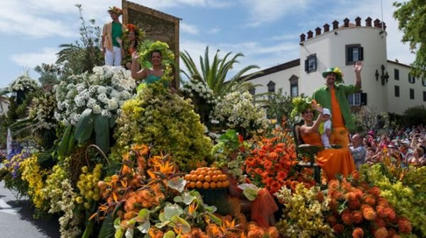 Virág Madeira