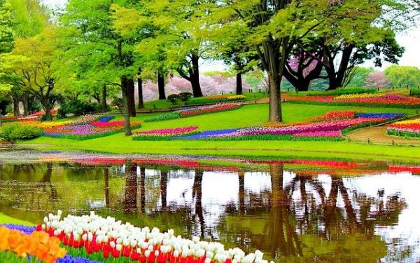 garden-1093681_640