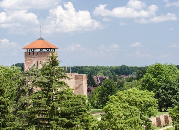 gyula19