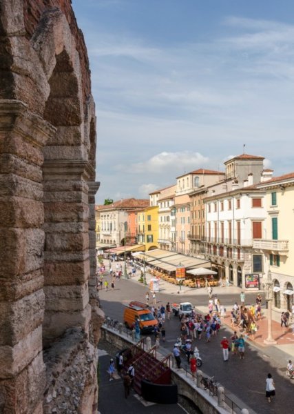 006_odon_nyüzsges_kicsik