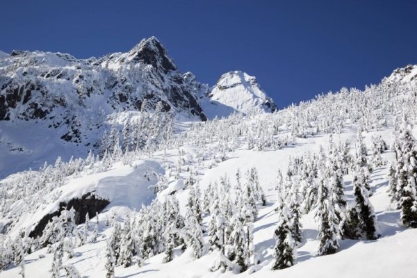 us-skigebiet-mount-baker-mehr-schnee-als-hier-geht-nicht-jedes-jahr-liegen-im-schnitt-16-5-meter-schnee-1