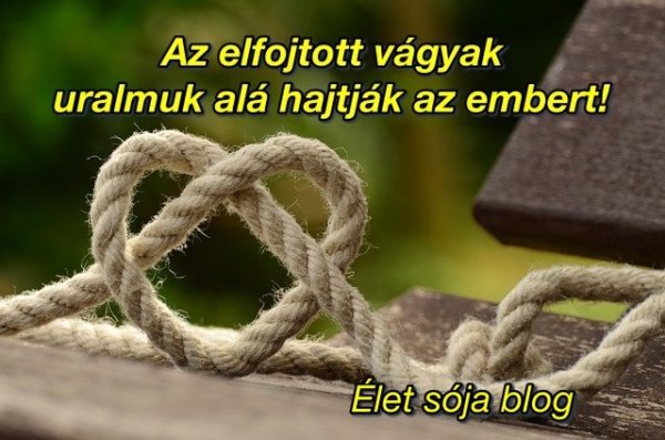rope-1469244_640