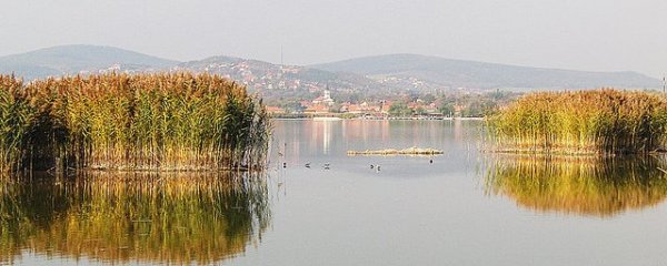 17181891418_b7cb85d9df_z