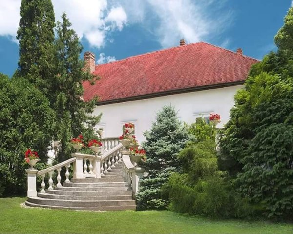 17274682_1863633013662224_1027086368_n