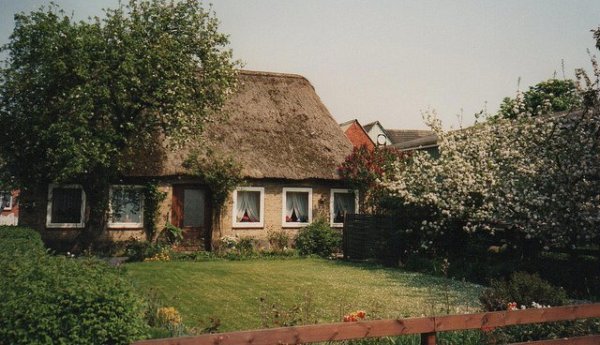 31023803020_b14394d96a_z