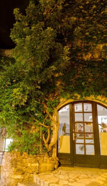 049_S_P_d_V_este2_kicsik