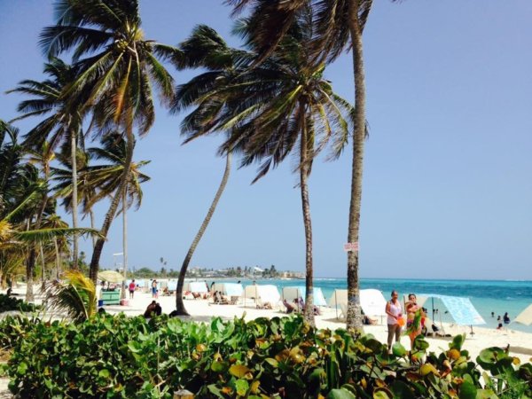 13239089_1788933341338739_4466778121935454407_n