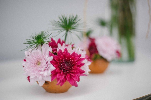 14566369_1851501735081899_2647369641240125988_o_kicsik