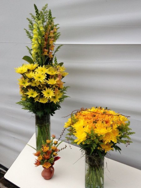 14589689_1851502895081783_8948076058192793039_o_kicsik