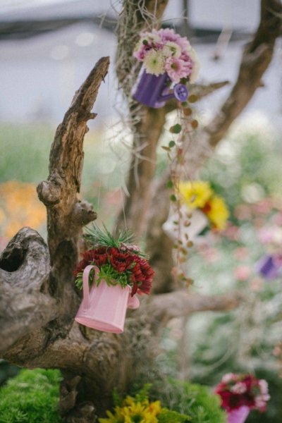 14612381_1851501875081885_9204761891661498861_o_kicsik