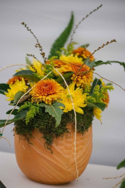 14615598_1851500595082013_2265868685620165561_o_kicsik