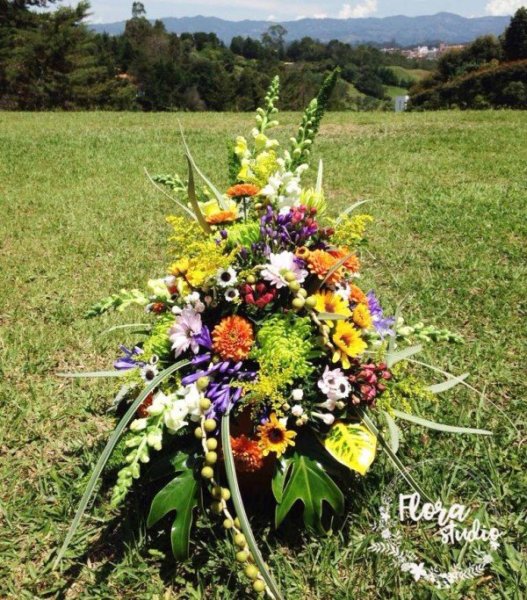 17952976_645099315686679_3834749644701535156_n_kicsik