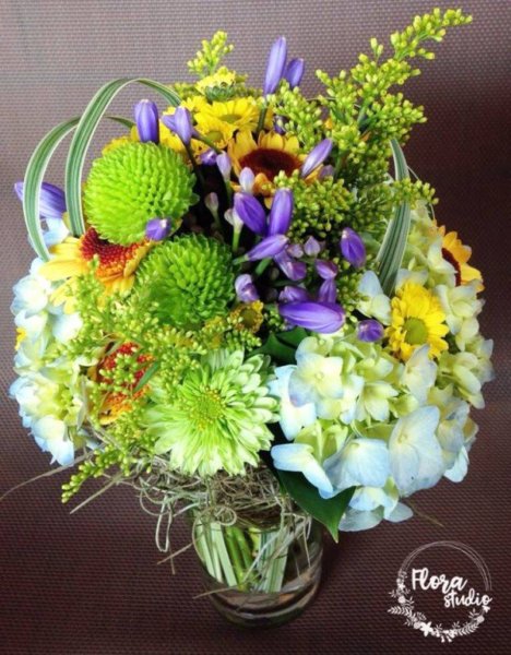 18342364_644676609062283_5986005277318530809_n_kicsik