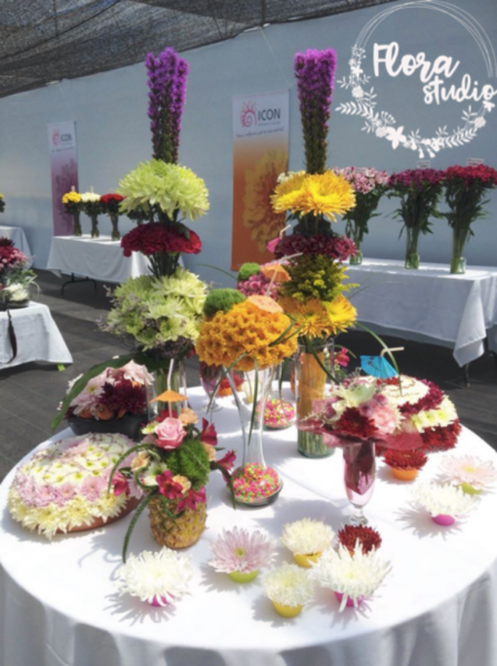 18921634_659207267609217_4663467481872297633_n_kicsik