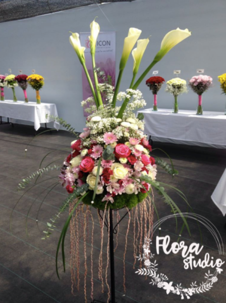 18950964_659207020942575_501773721768883007_n_kicsik