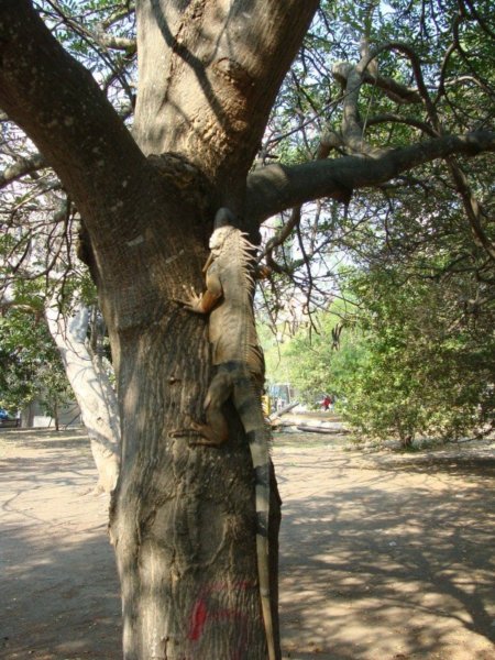 19723807_2022812397950831_1589765719_o_kicsik