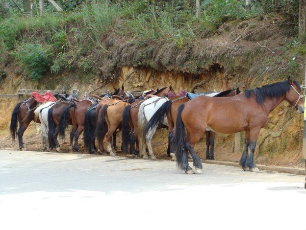 19727101_2022809004617837_1413055630_o (1)_kicsik