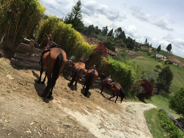 19747792_2022809724617765_532347838_o (1)_kicsik