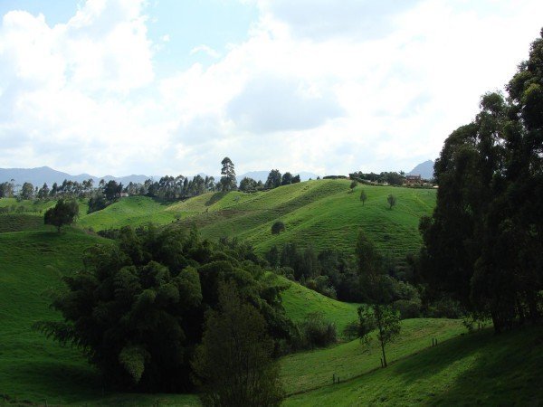 19749775_2022820861283318_1524287276_o_kicsik