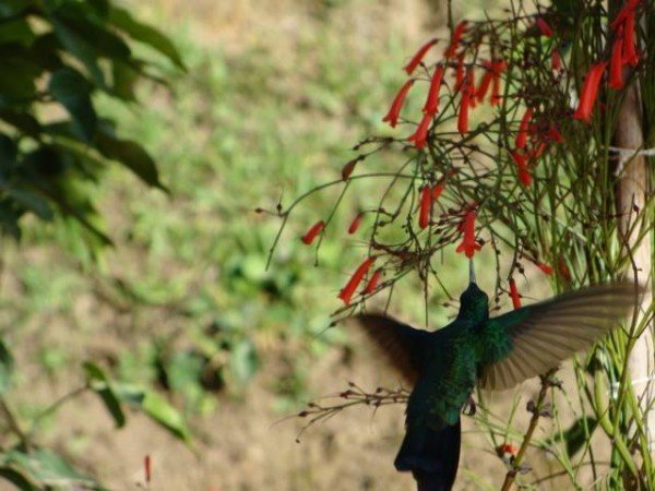 19832856_2022821124616625_404947570_n_kicsik