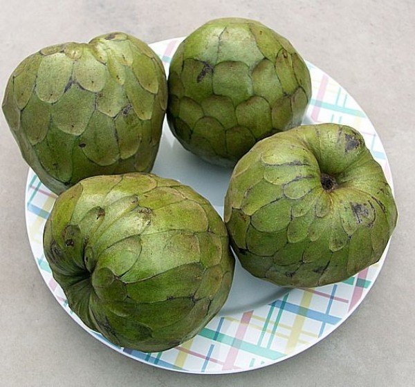 19858402_2022792934619444_1854775740_n (1)_kicsik