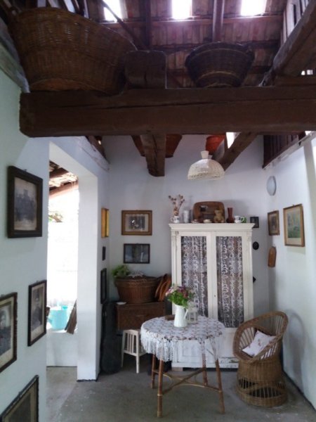 20170602_124503_kicsik