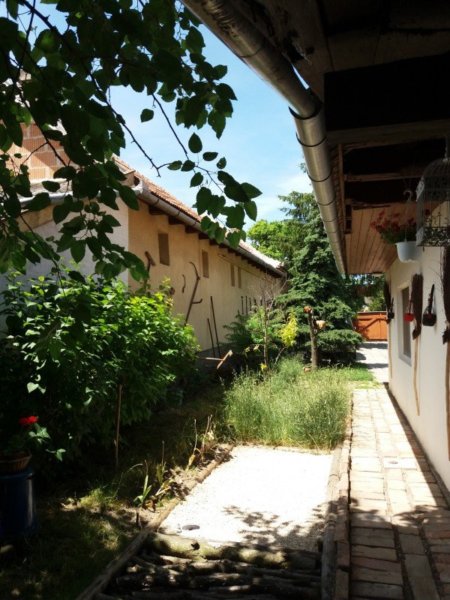 20170602_124537_kicsik